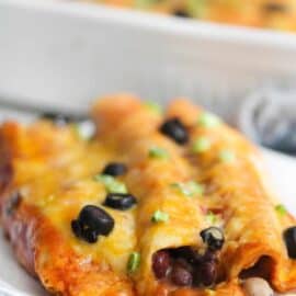 Close-up of cheesy enchiladas topped with black olives and green onions, served on a white plate with a dish in the background.