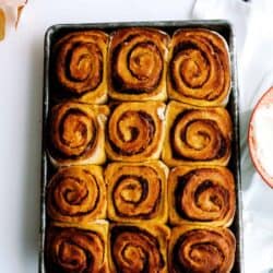 A tray of twelve evenly spaced, baked pumpkin cinnamon rolls placed on a white surface with scattered leaves and a striped cloth nearby.