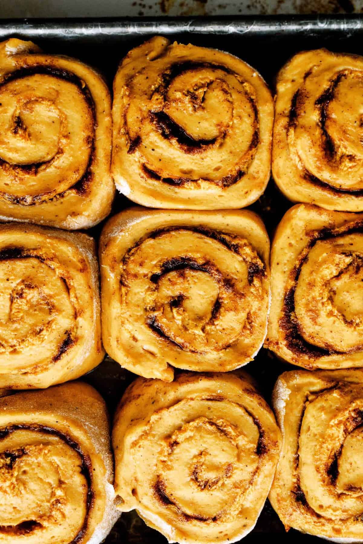 A close-up of nine pumpkin baked cinnamon rolls arranged in a 3x3 grid on a baking tray.