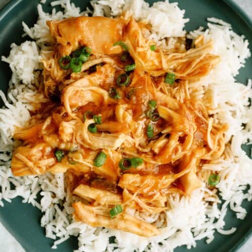 slow cooker apricot chicken