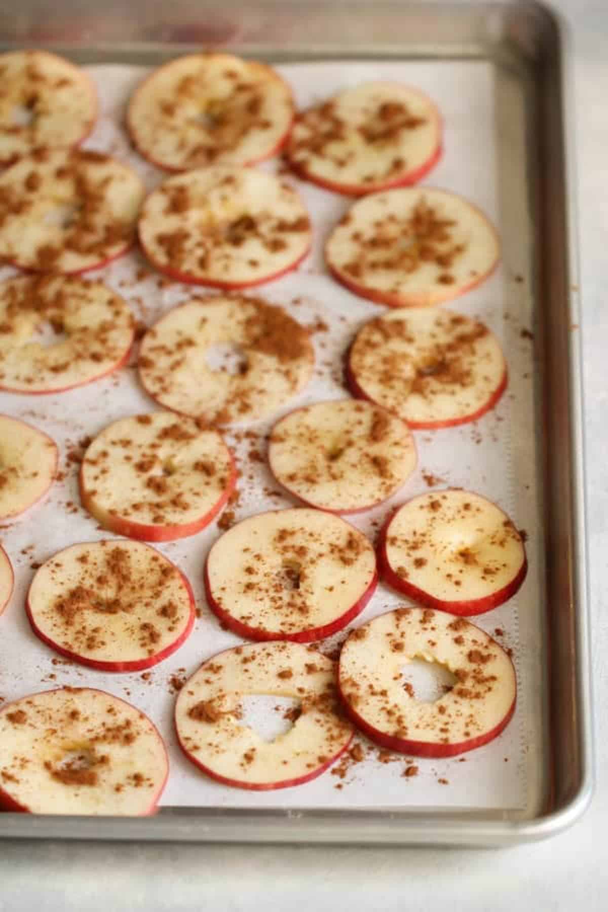 A baking sheet with parchment paper holds evenly spaced apple slices sprinkled with cinnamon, ready for drying or baking.