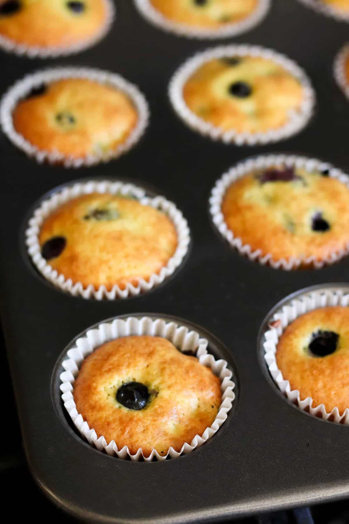 A tray of blueberry muffins in a muffin tin. The muffins are in white paper liners and appear to be freshly baked.