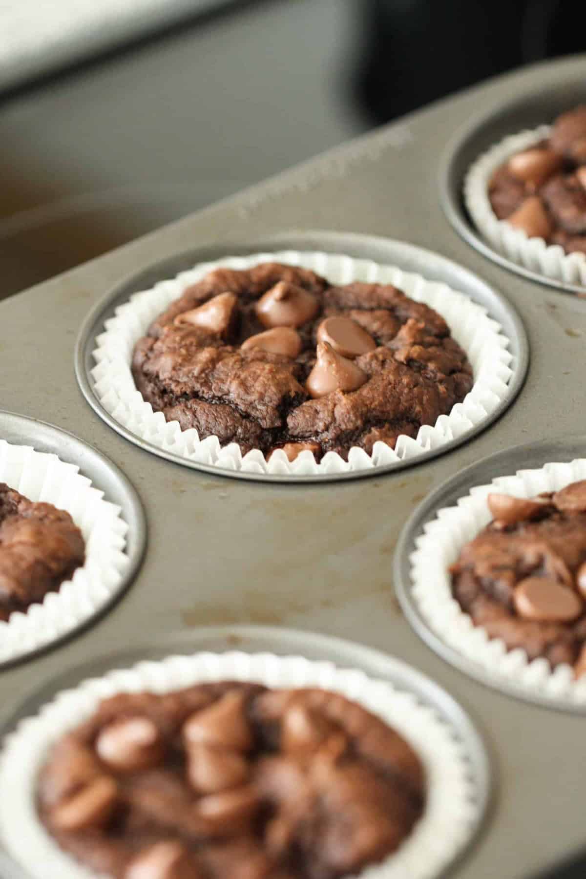 A close-up of several pumpkin chocolate muffins with chocolate chips baking in a muffin tray lined with paper cups.