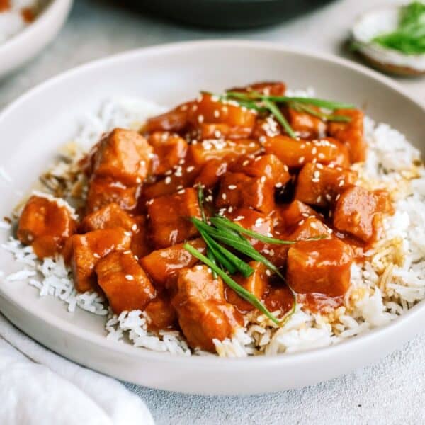 slow cooker sweet and tangy pork served over rice