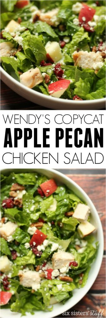 Wendy's Copycat Apple Pecan Chicken Salad | Six Sisters' Stuff