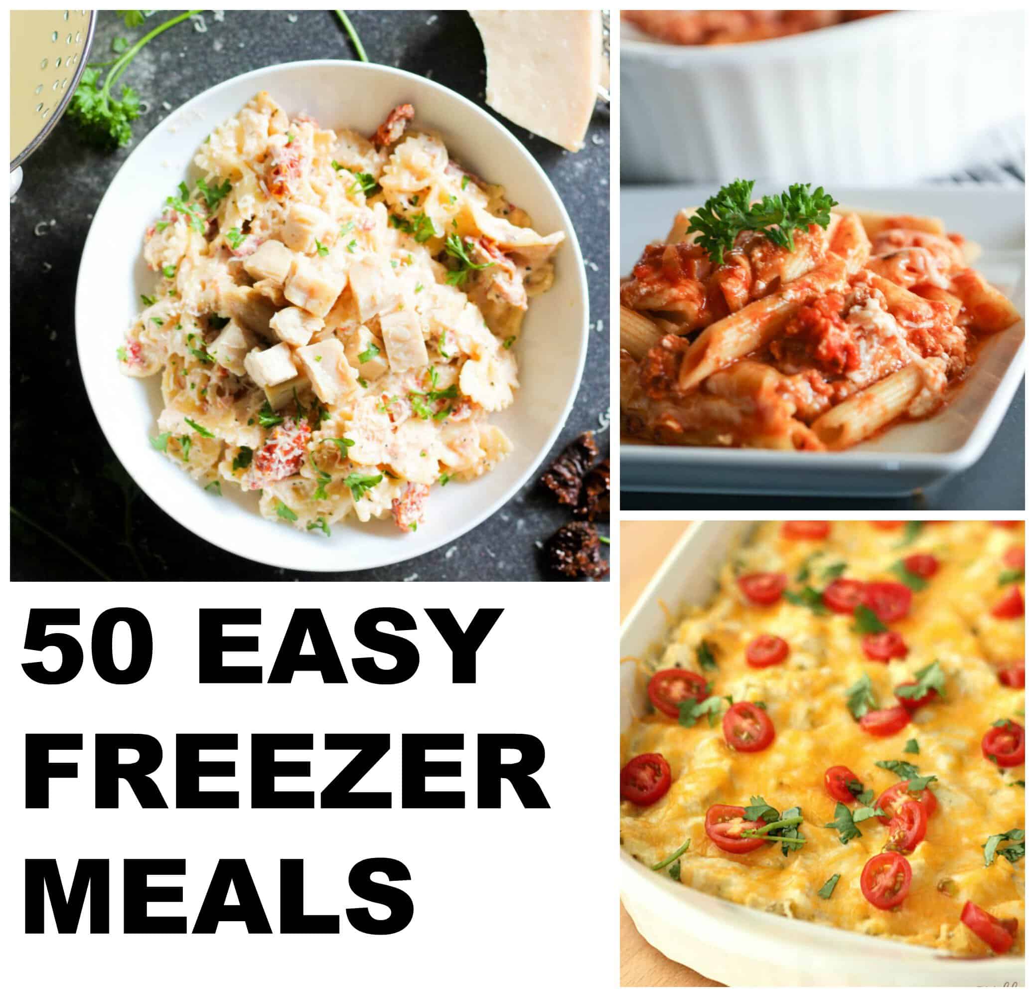 50 Delicious And Easy Freezer Meal Recipes And Affordable