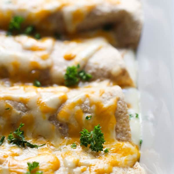 healthy egg white enchiladas with cheese