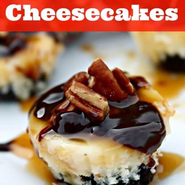 Mini Turtle Cheesecakes Six Sisters Stuff 1360