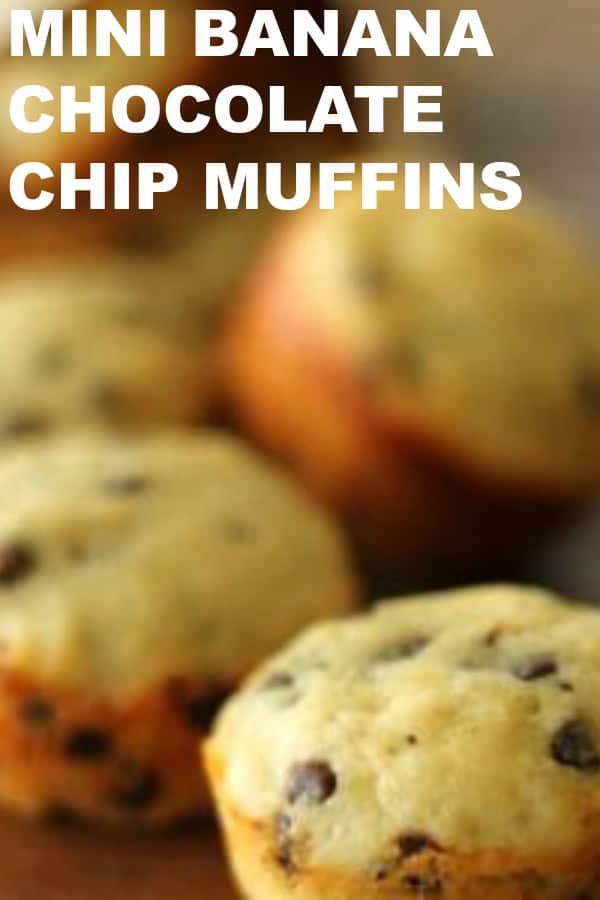 Mini Banana Chocolate Chip Muffins Recipe - Six Sisters Stuff