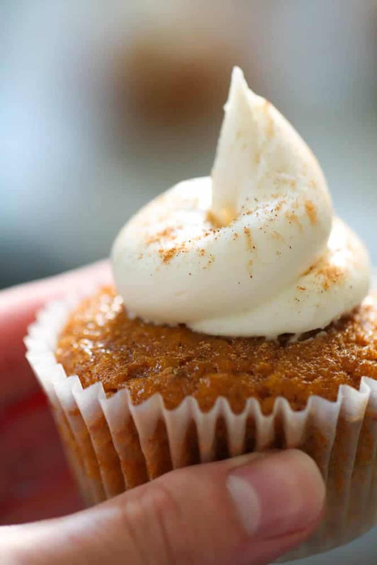 A hand holding a cupcake with white frosting and a sprinkle of spice on top.