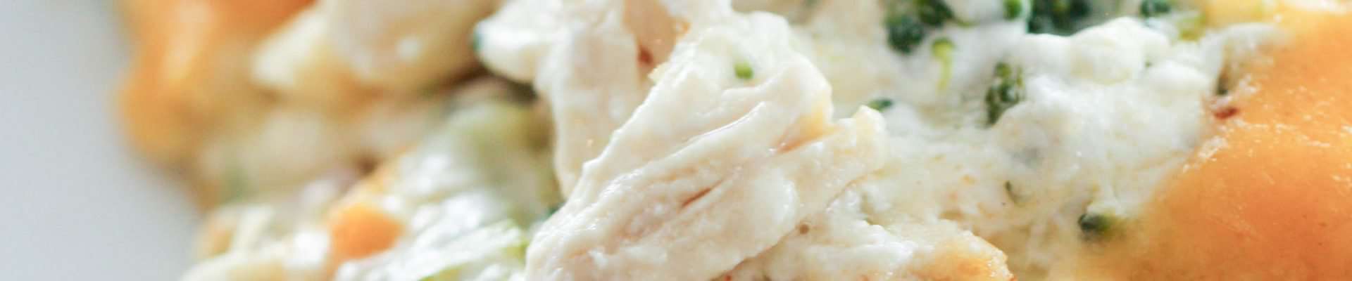 A close-up of a plate of chicken divan, featuring shredded chicken, broccoli, and melted cheddar cheese atop a creamy sauce, with a fork at the bottom left.