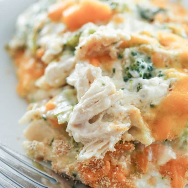 A close-up of a plate of chicken divan, featuring shredded chicken, broccoli, and melted cheddar cheese atop a creamy sauce, with a fork at the bottom left.