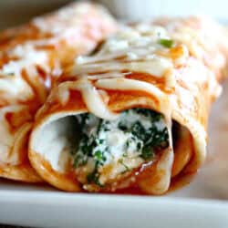 Close-up of two cheese and spinach stuffed enchiladas on a white plate, topped with tomato sauce and melted cheese.