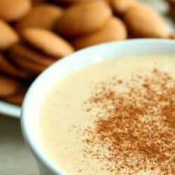 A bowl of creamy dessert topped with a sprinkle of cinnamon, with a plate of round cookies in the background.