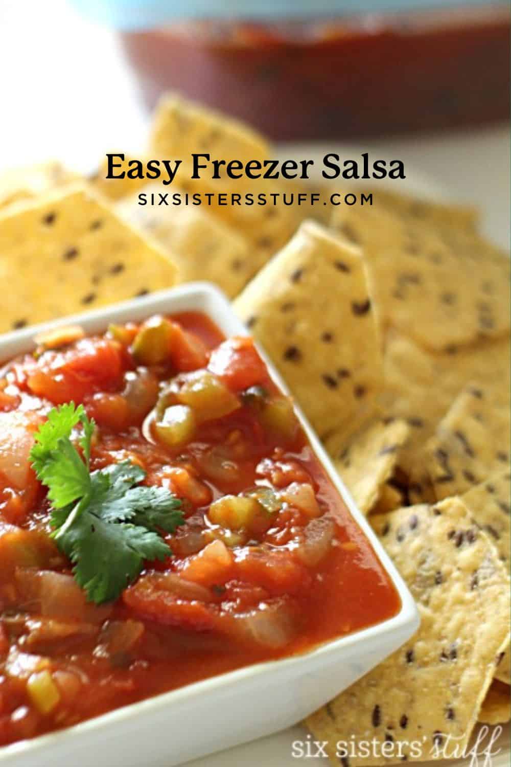 Easy Freezer Salsa Recipe