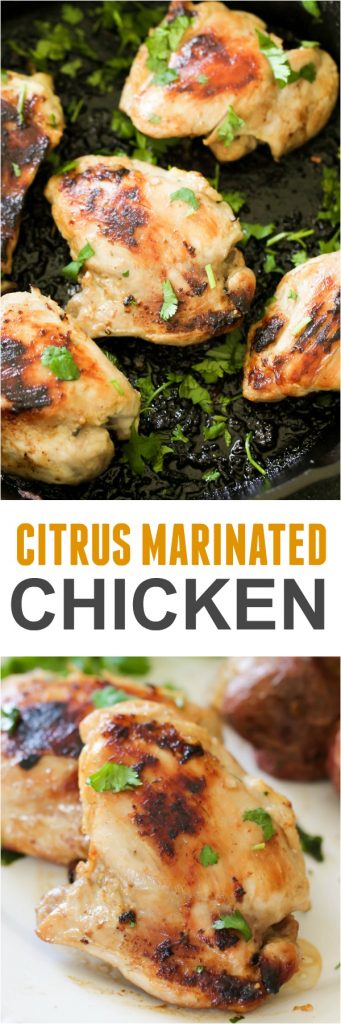 Citrus Marinated Chicken | Six Sisters' Stuff