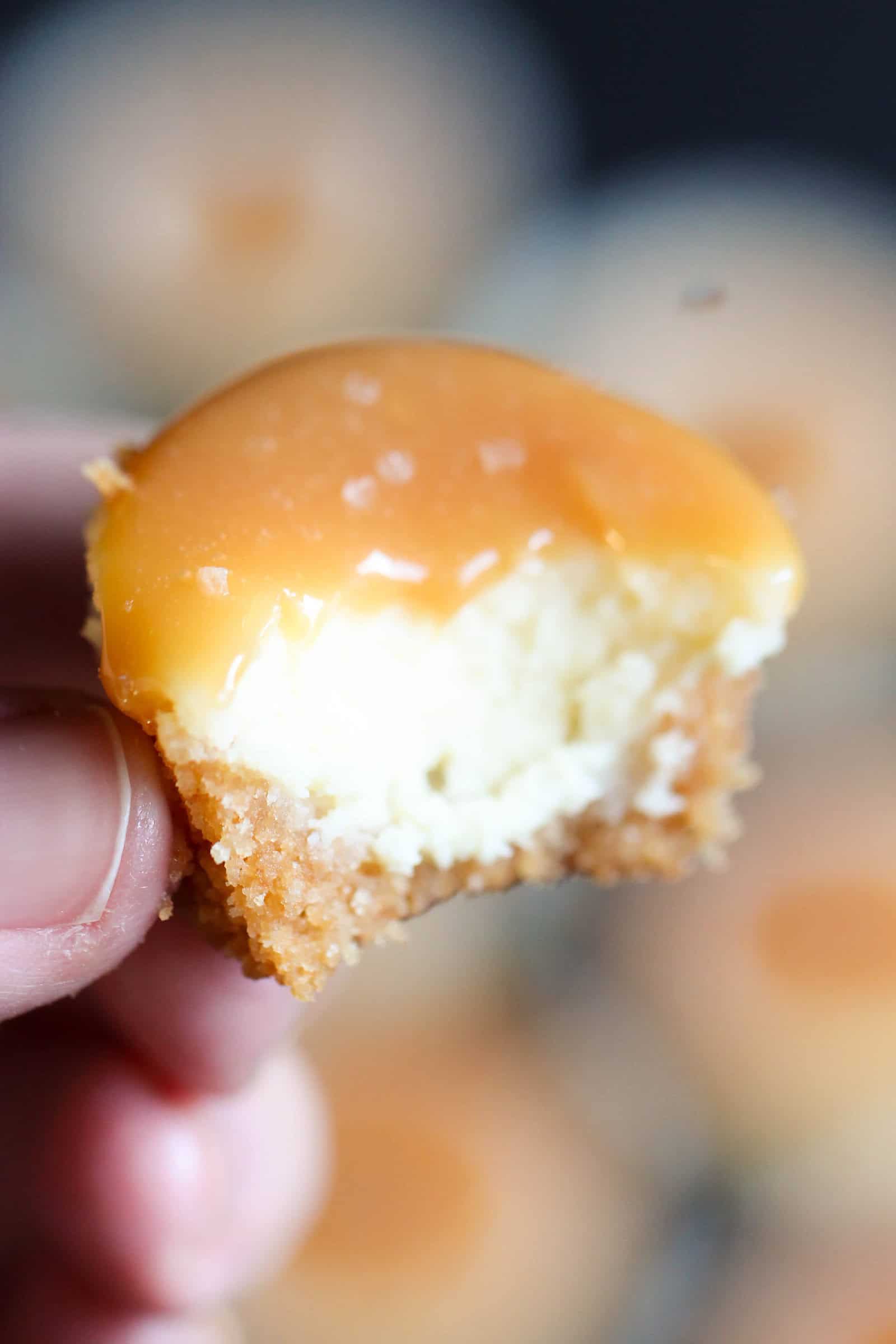 https://www.sixsistersstuff.com/wp-content/uploads/2018/03/Salted-caramel-mini-cheesecake-bite.jpg