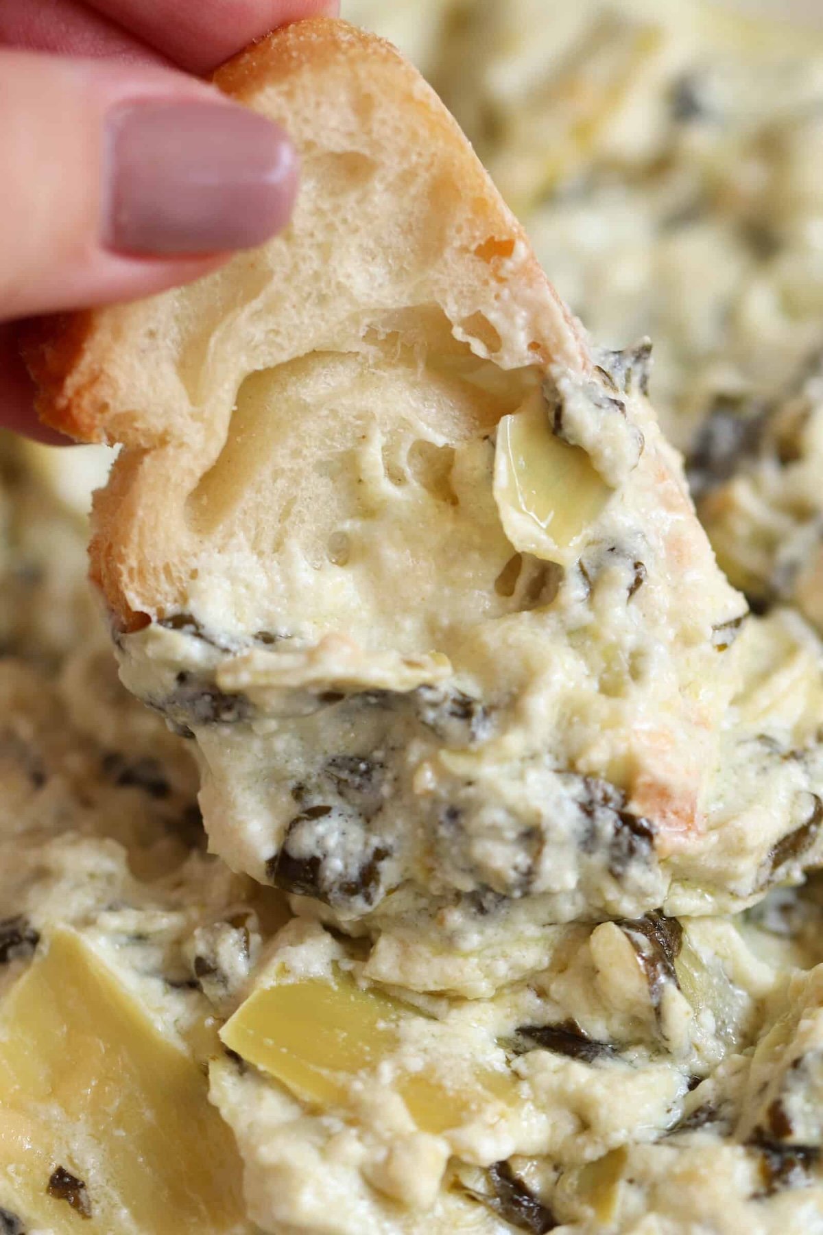 A piece of bread dipped into a creamy artichoke and spinach dip, held by a hand with light-colored nail polish.