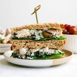 Chicken Salad Sandwich cut in half on a plate with a toothpick in the middle of it