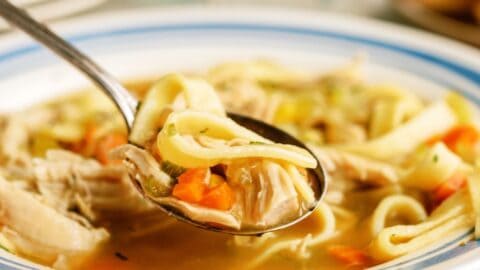 Instant pot chicken noodle soup six sisters sale