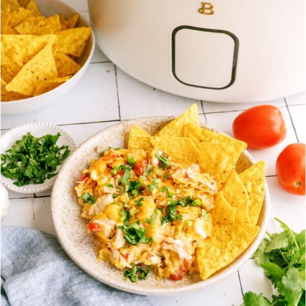 slow cooker king ranch chicken