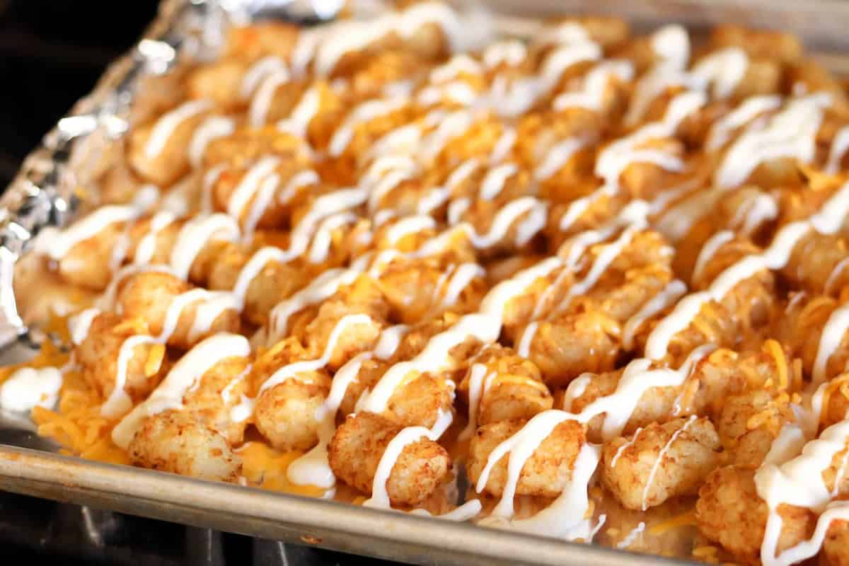 A tray of tater tots topped with melted cheese and drizzled with white sauce.