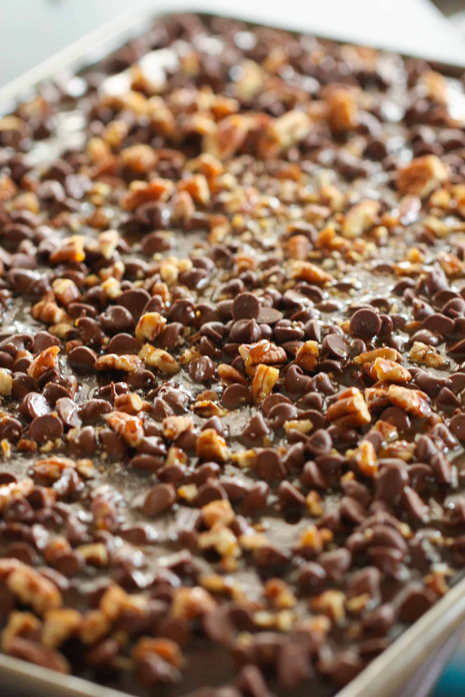 Texas Sheet Cake - Recipe for Chocolate Cake with Pecans