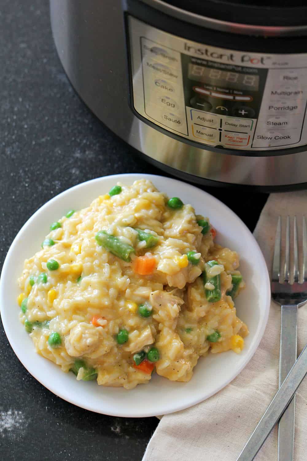 https://www.sixsistersstuff.com/wp-content/uploads/2019/09/Instant-Pot-Cheesy-Chicken-and-Rice-from-SixSistersStuff.jpg