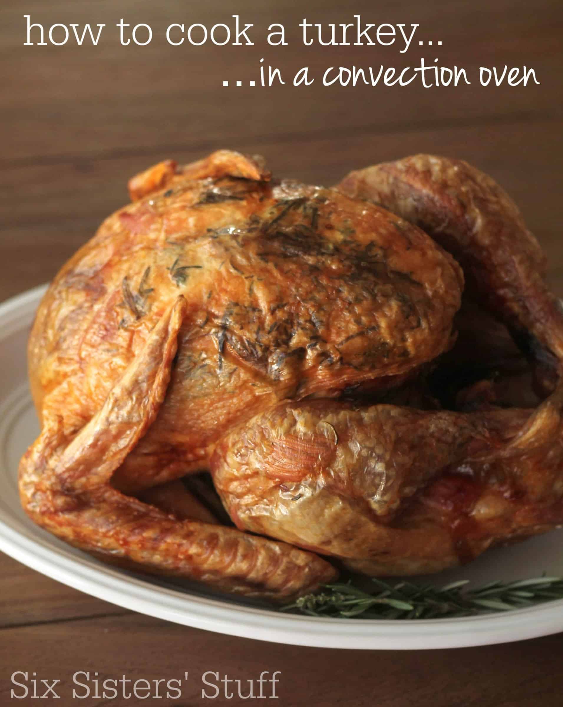 https://www.sixsistersstuff.com/wp-content/uploads/2019/11/How-to-Cook-a-Turkey-in-the-Convection-Oven.jpg