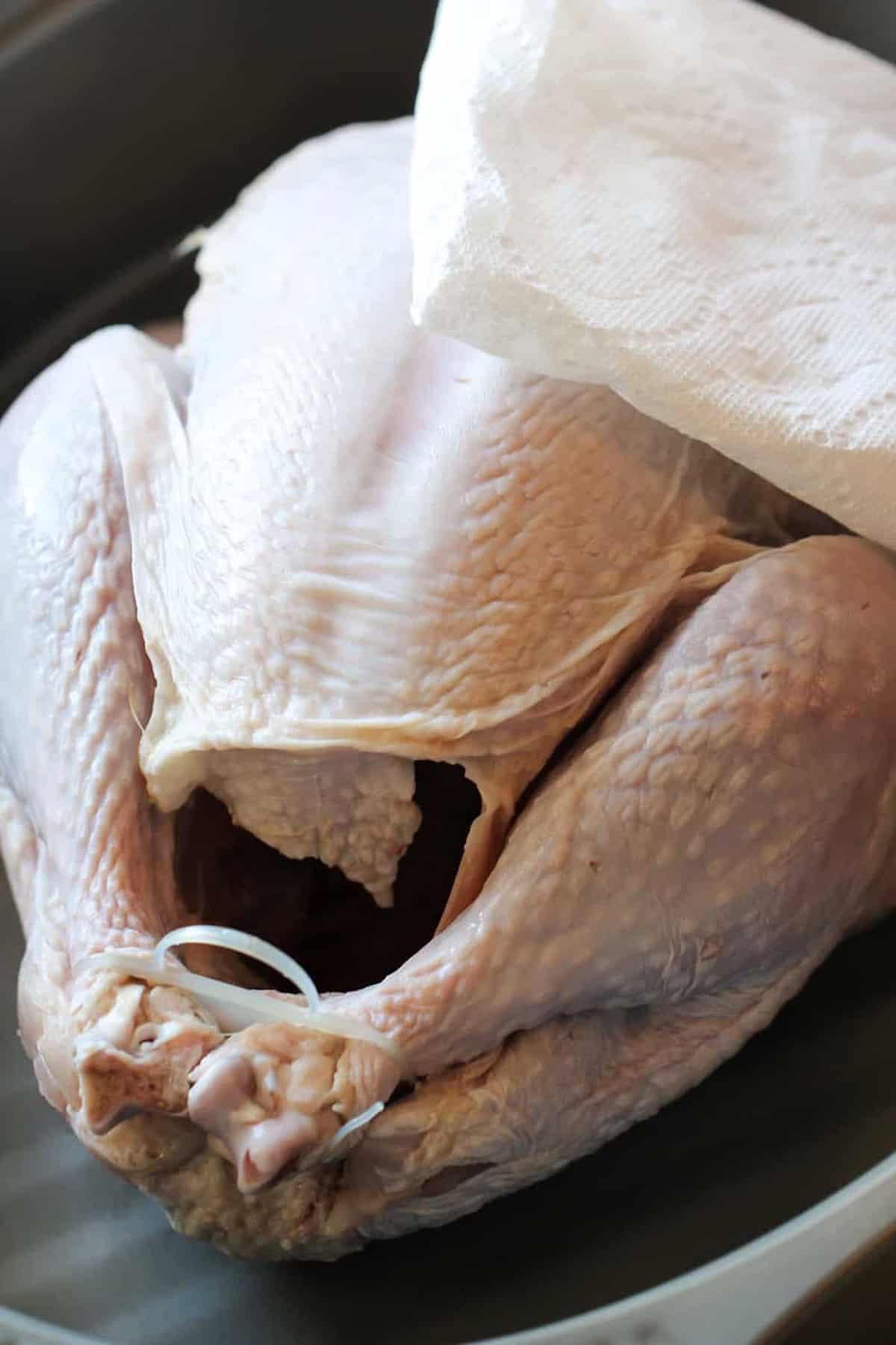 A raw whole turkey with a piece of paper towel on top, placed in a black roasting pan.