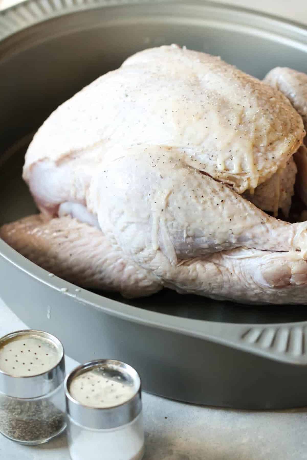 Raw whole turkey in a roasting pan, lightly seasoned with salt and pepper, next to shakers of additional salt and pepper.