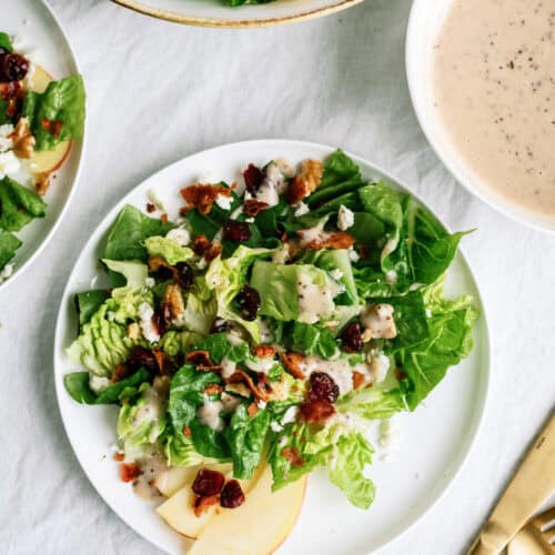 A plated salad with leafy greens, sliced apples, nuts, and dried cranberries next to a bowl of creamy dressing.