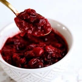 A spoon holds a scoop of red cranberry sauce above a white bowl filled with the same sauce.