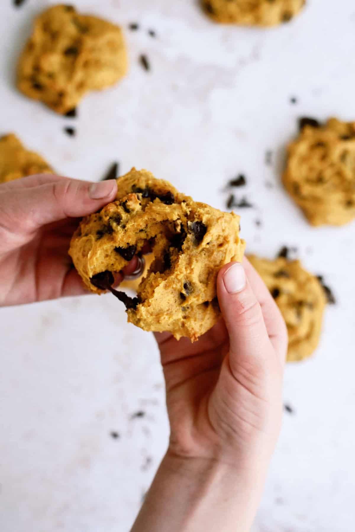 Two hands holding a broken cookie with visible chocolate chips. Several similar cookies are scattered on a white surface in the background.