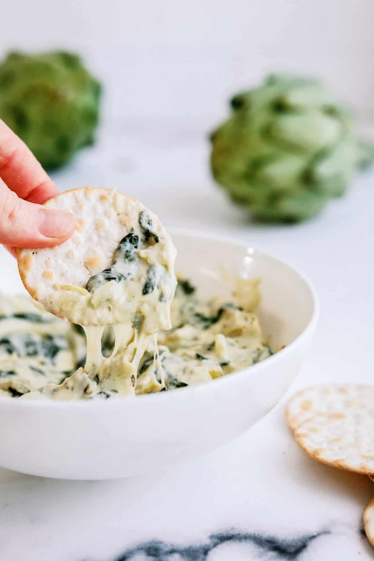 A hand holding a cracker dipped in a bowl of creamy spinach artichoke dip, with artichokes in the background.