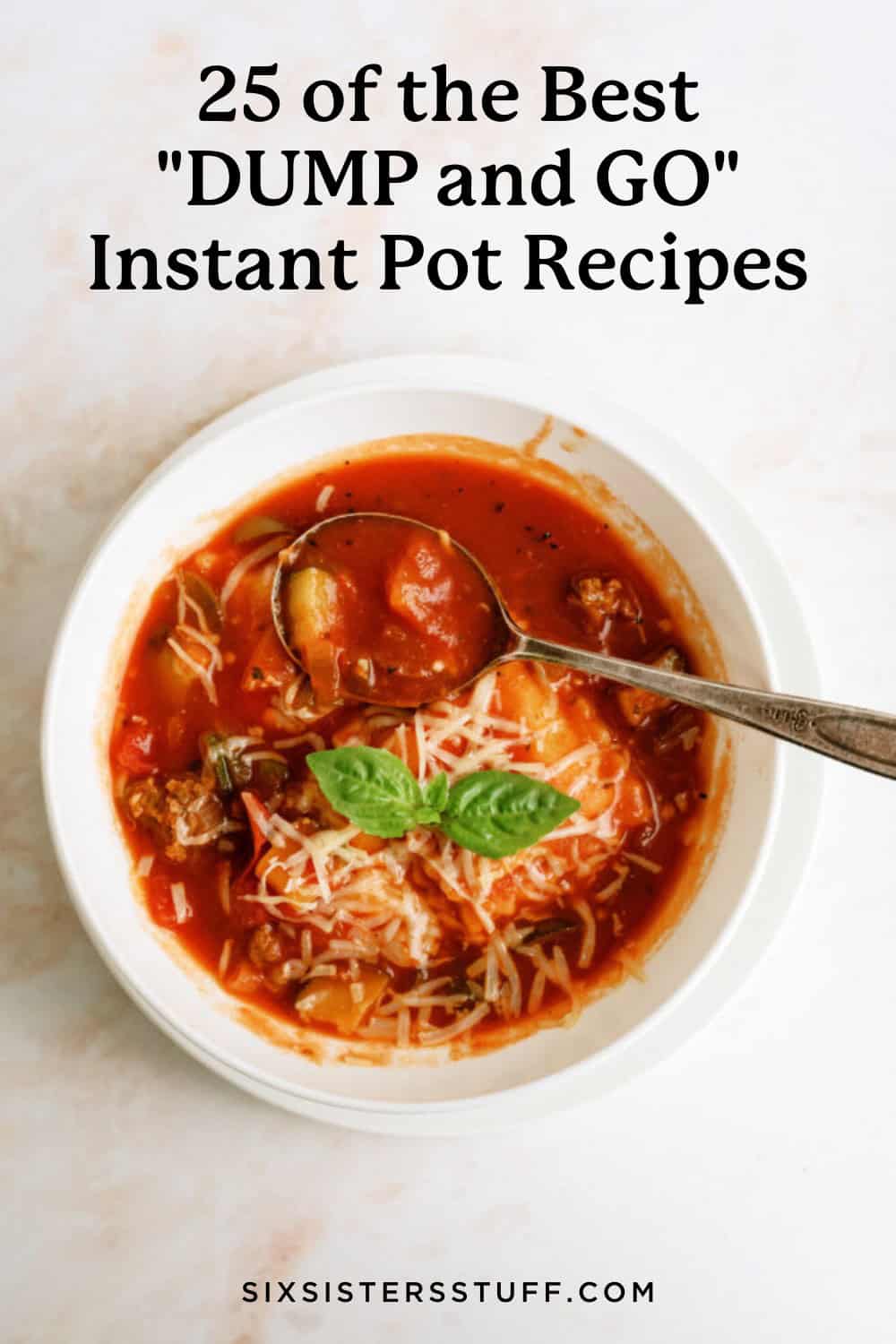 25 of the Best Dump and Go Instant Pot Recipes