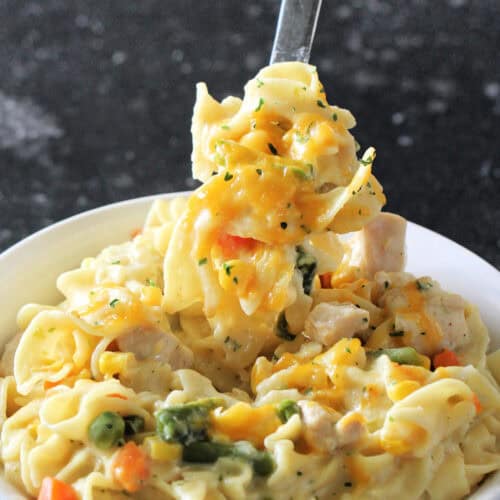 instant pot chicken and noodles being scooped out of bowl