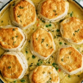 Easy Biscuit Chicken Pot Pie