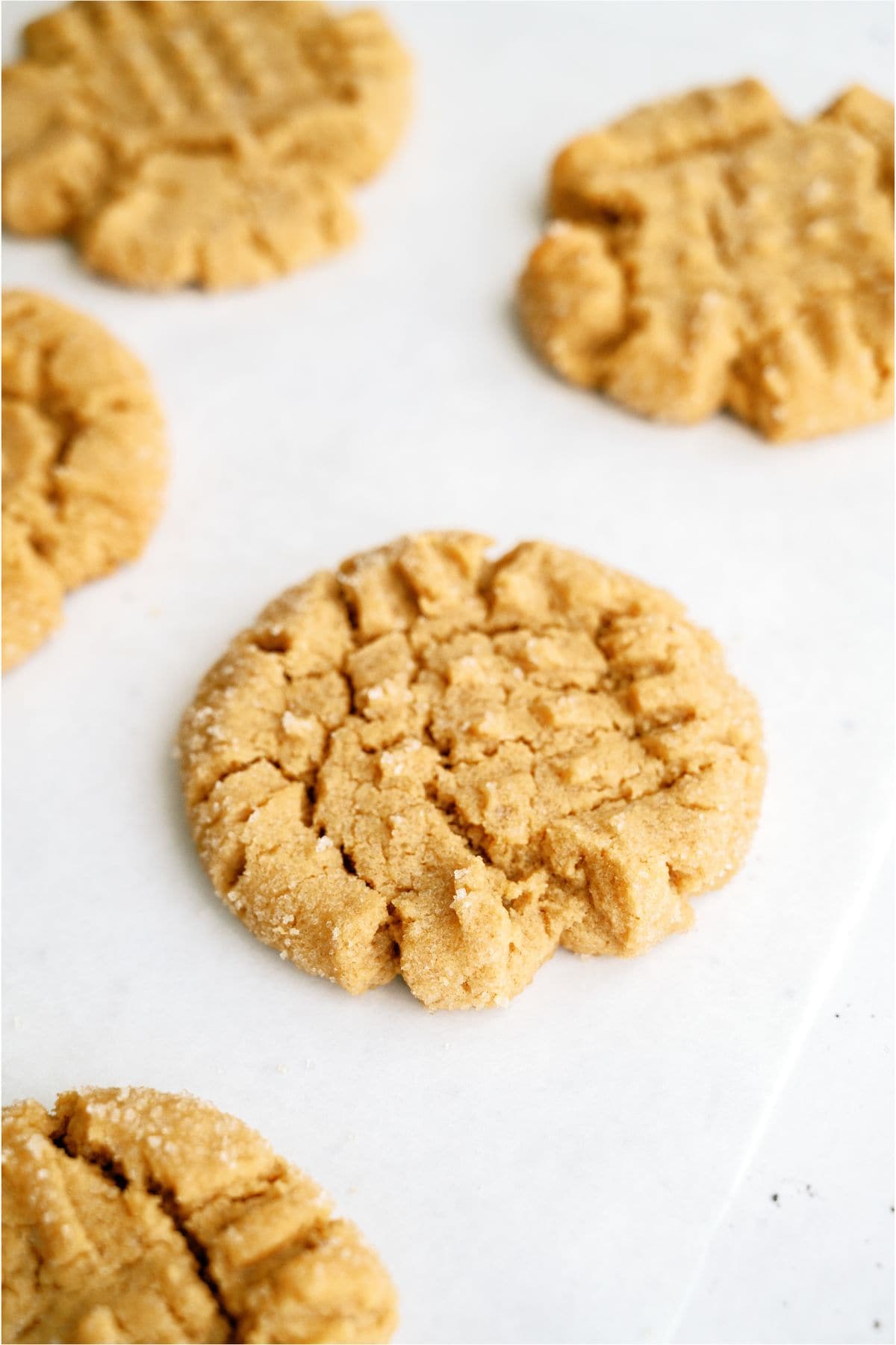 Five peanut butter cookies with crisscross fork patterns on a white surface.