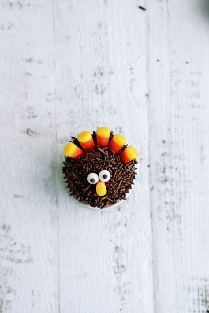 A cupcake decorated like a turkey, with candy corn feathers and chocolate sprinkles on top.