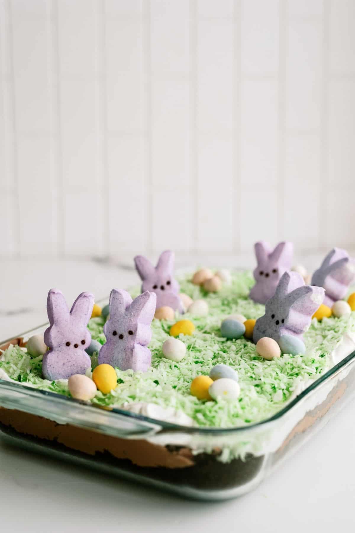 https://www.sixsistersstuff.com/wp-content/uploads/2022/03/Easter-Bunny-Pudding-Dirt-Cake-2.jpg