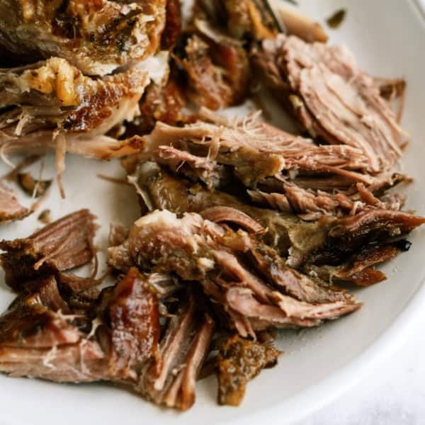 Shredded cooked meat served on a white plate.