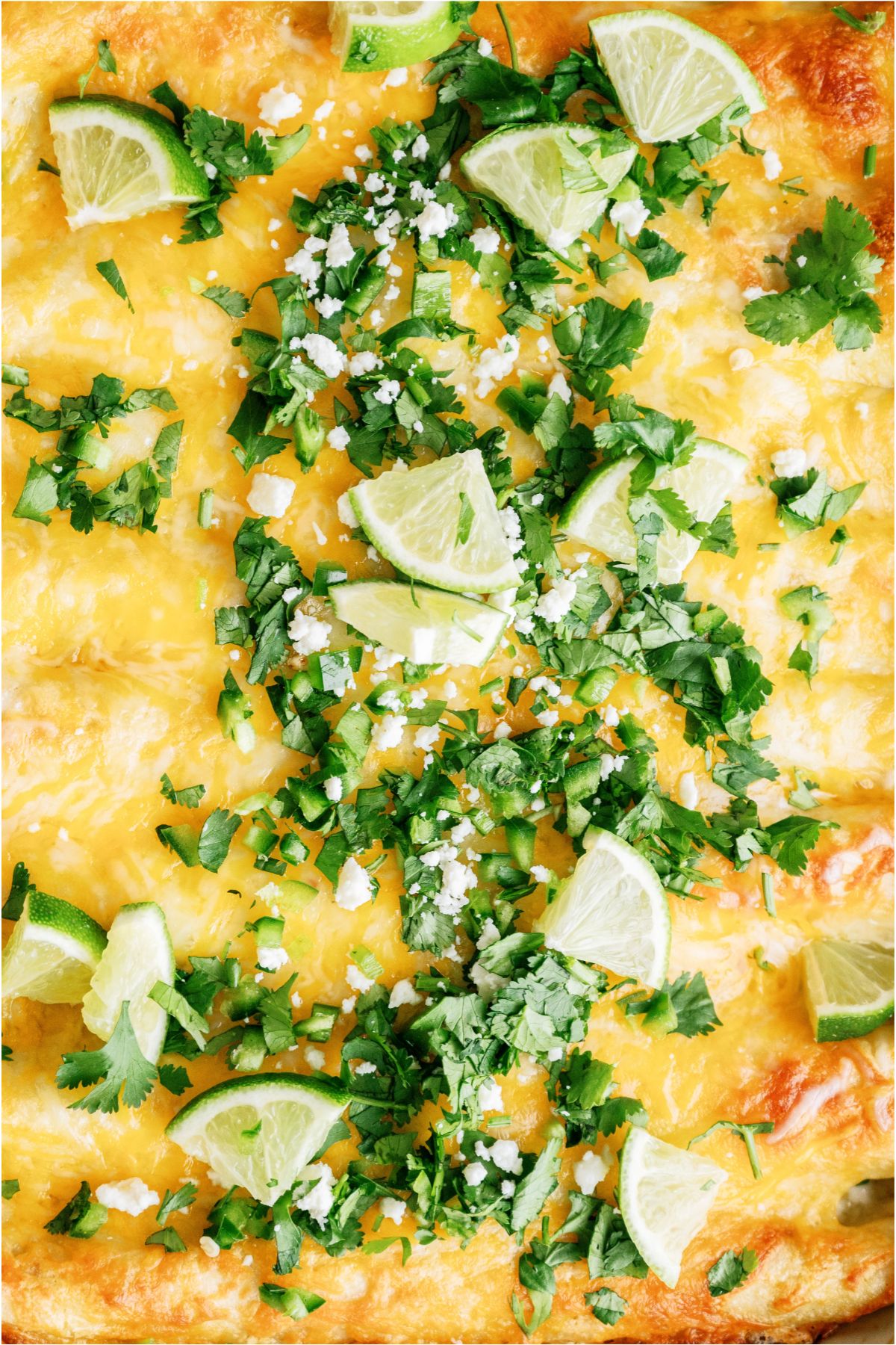 Close up view of Honey Lime Chicken Enchiladas with fresh lime, cilantro and cheese on top.