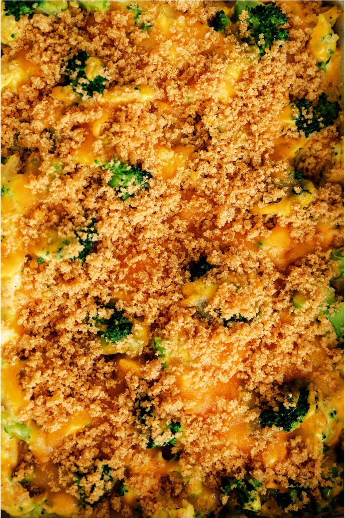 Close up of Chicken and Broccoli Casserole showing the crispy top.