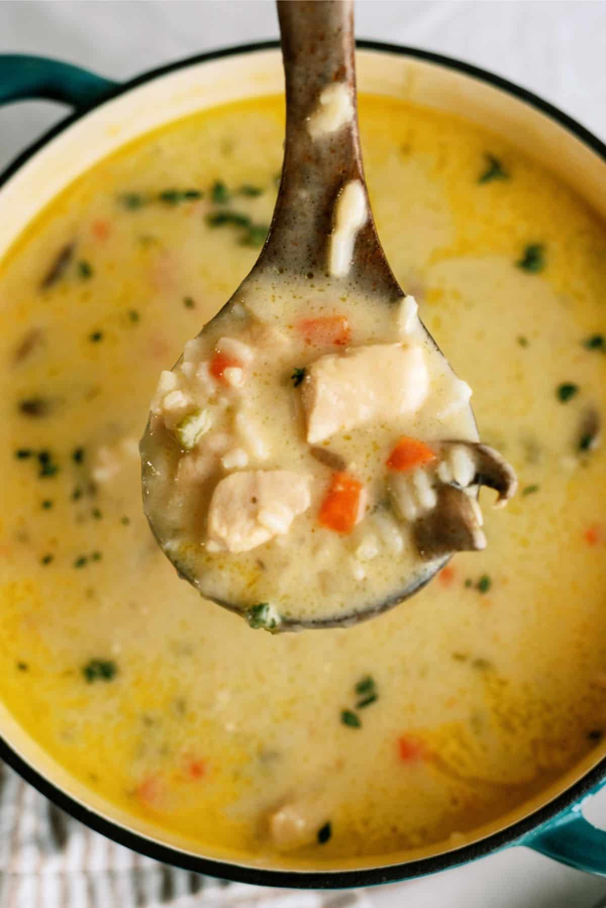 https://www.sixsistersstuff.com/wp-content/uploads/2022/11/Creamy-Chicken-and-Wild-Rice-Soup-Recipe-2.jpg