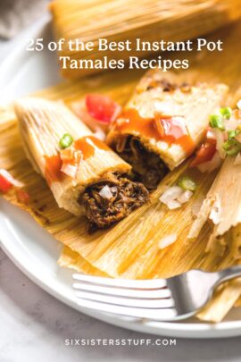 instant pot beef tamales
