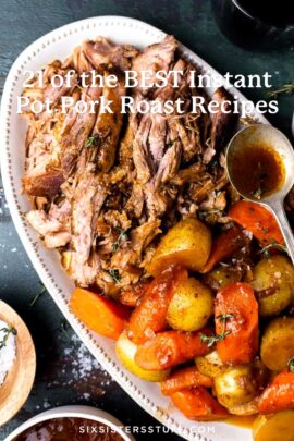 instant pot pork roast
