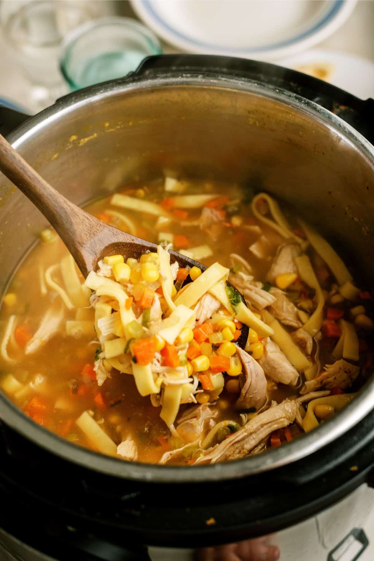 Instant Pot Chicken Noodle Soup –