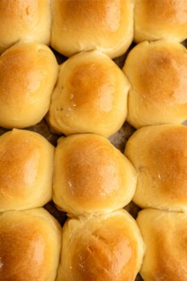 Golden, freshly baked dinner rolls arranged in rows.