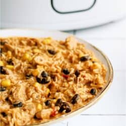 A bowl of Slow Cooker Southwest Chicken and Rice in front of a slow cooker